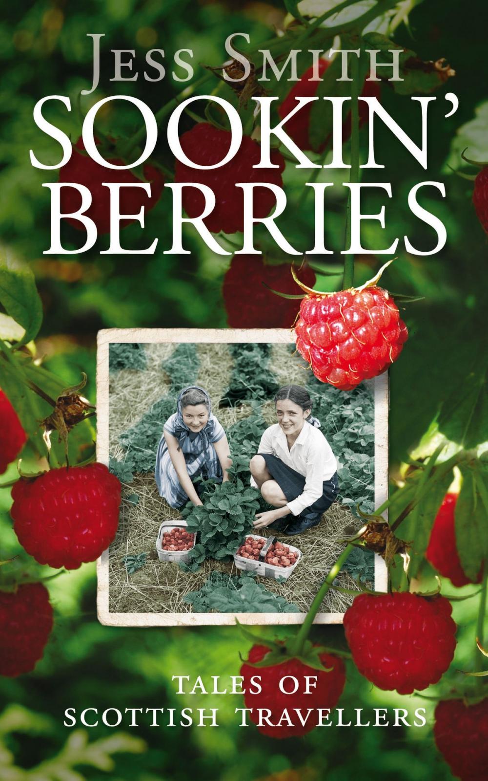 Big bigCover of Sookin' Berries