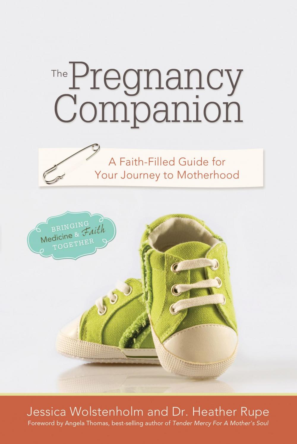 Big bigCover of The Pregnancy Companion