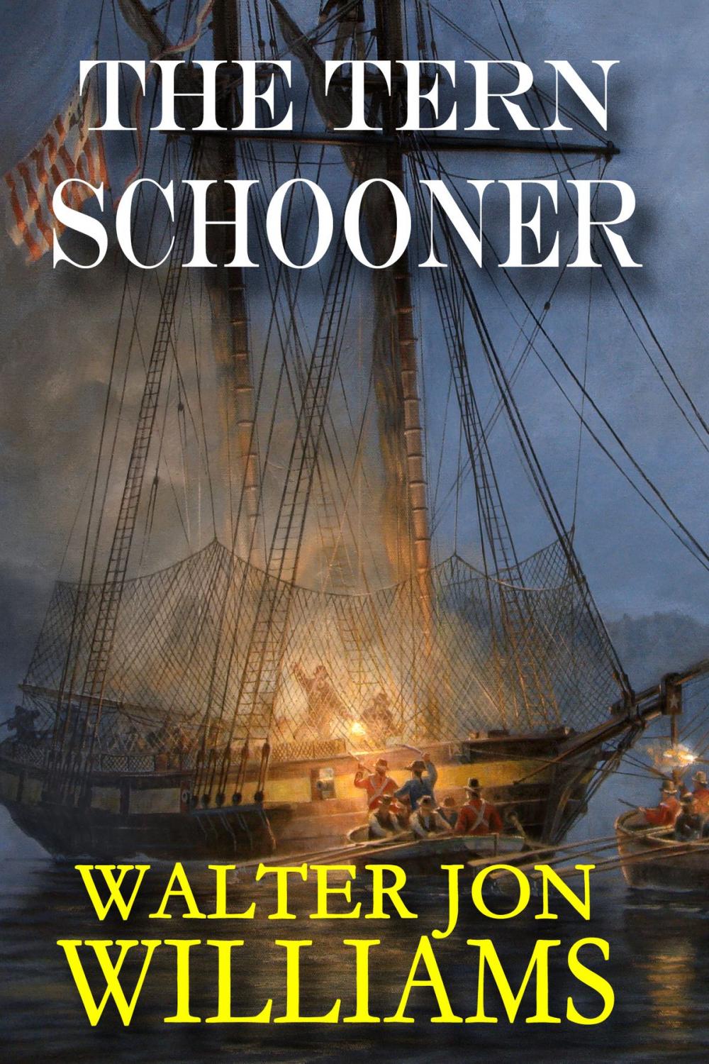 Big bigCover of The Tern Schooner (Privateers & Gentlemen)