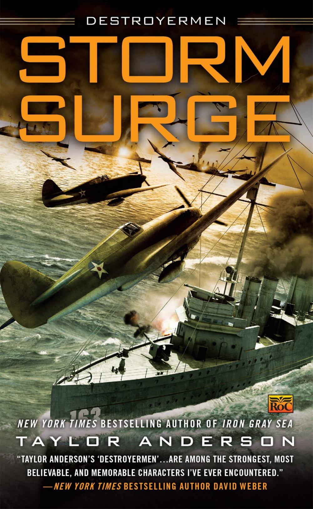 Big bigCover of Storm Surge