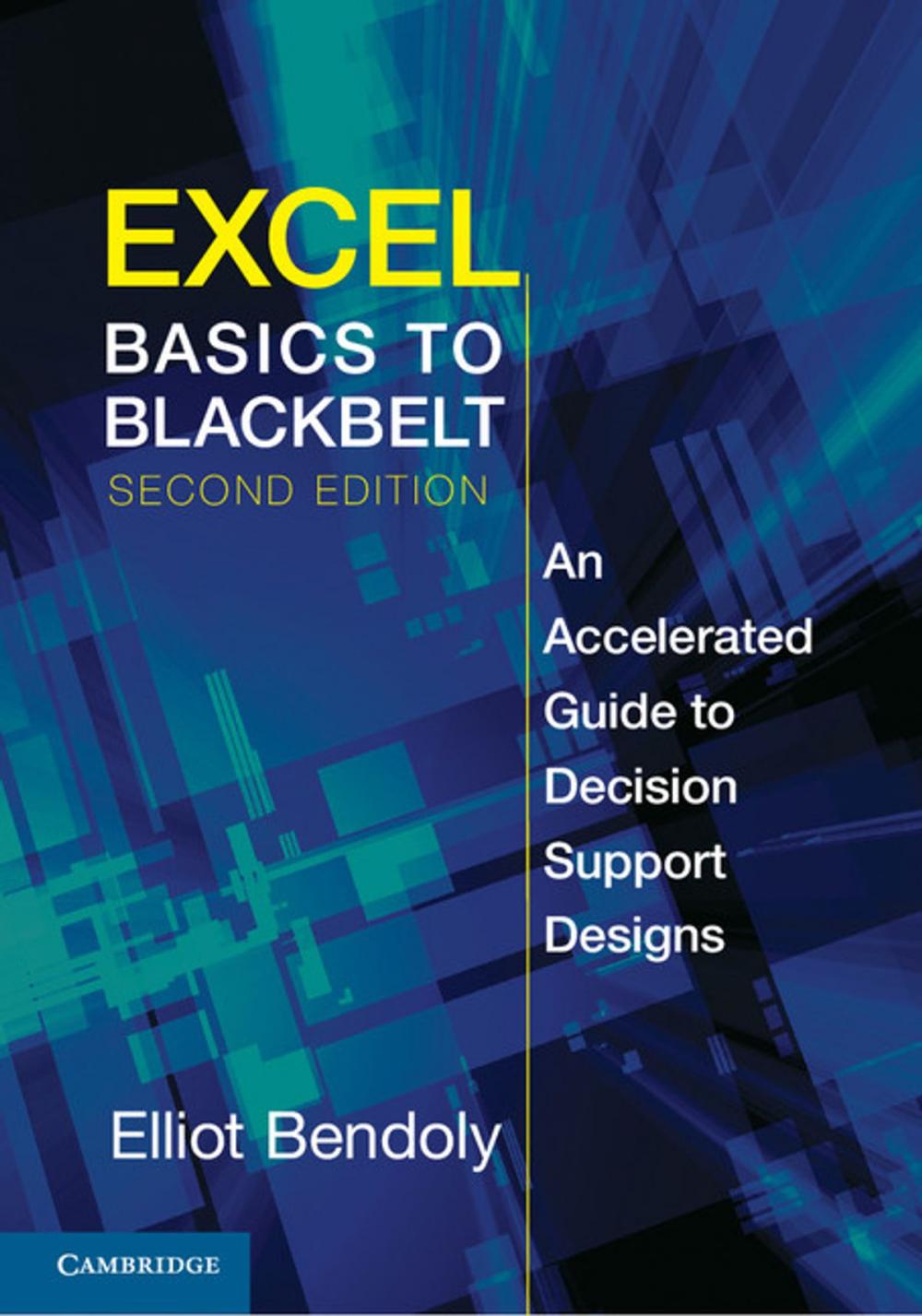 Big bigCover of Excel Basics to Blackbelt
