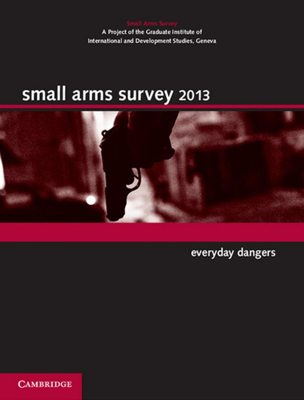 Big bigCover of Small Arms Survey 2013