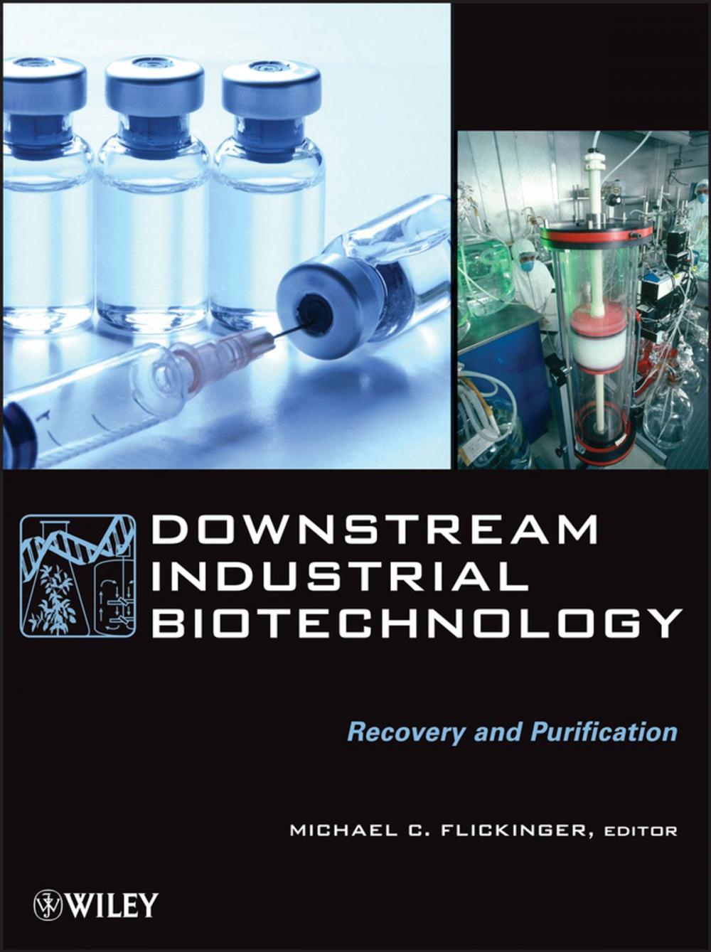 Big bigCover of Downstream Industrial Biotechnology