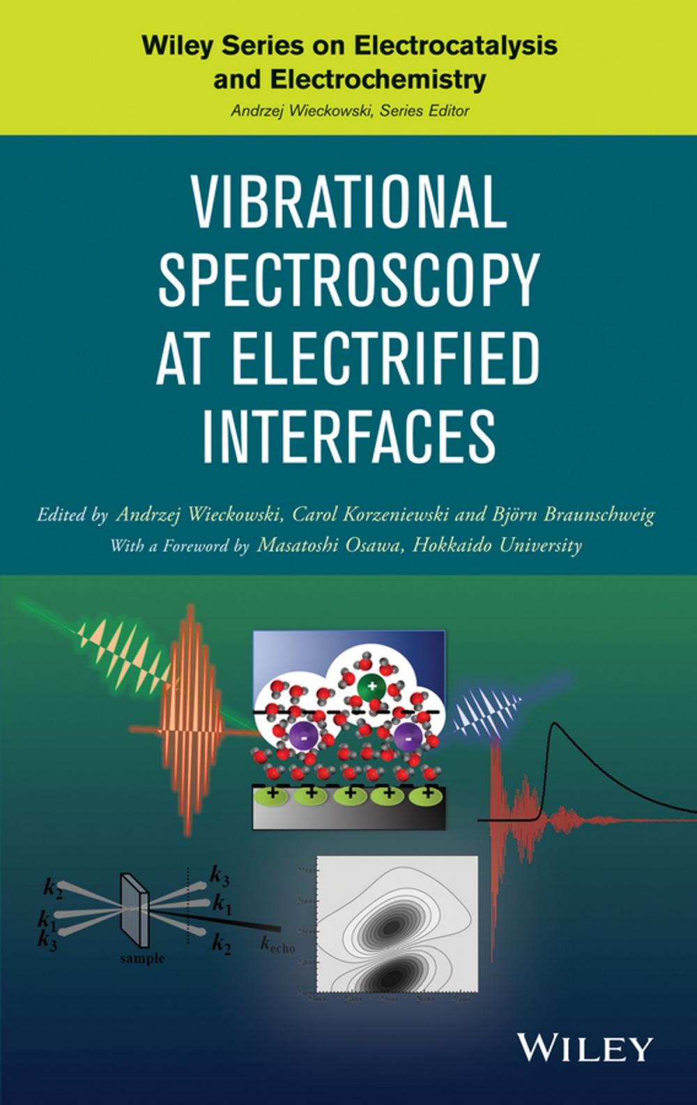 Big bigCover of Vibrational Spectroscopy at Electrified Interfaces