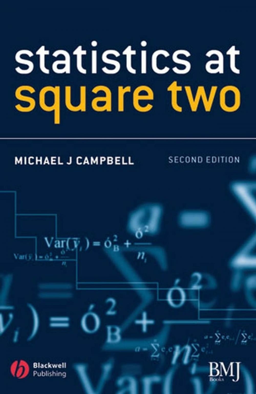 Big bigCover of Statistics at Square Two