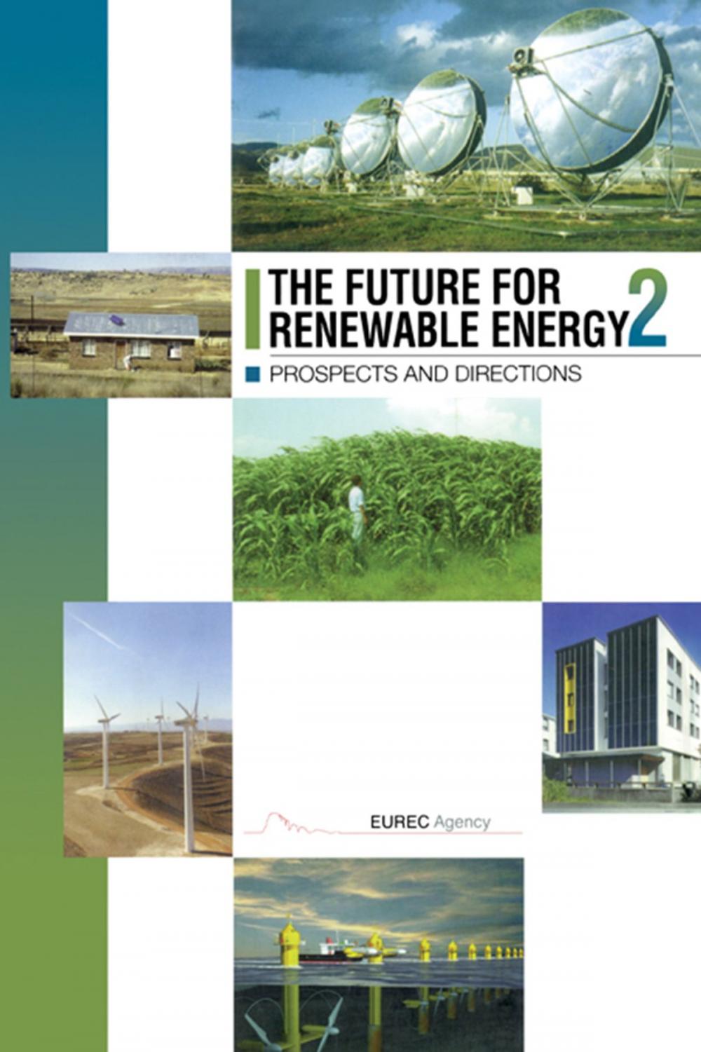 Big bigCover of The Future for Renewable Energy 2