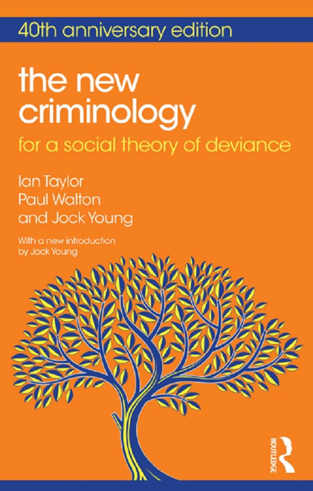 Big bigCover of The New Criminology