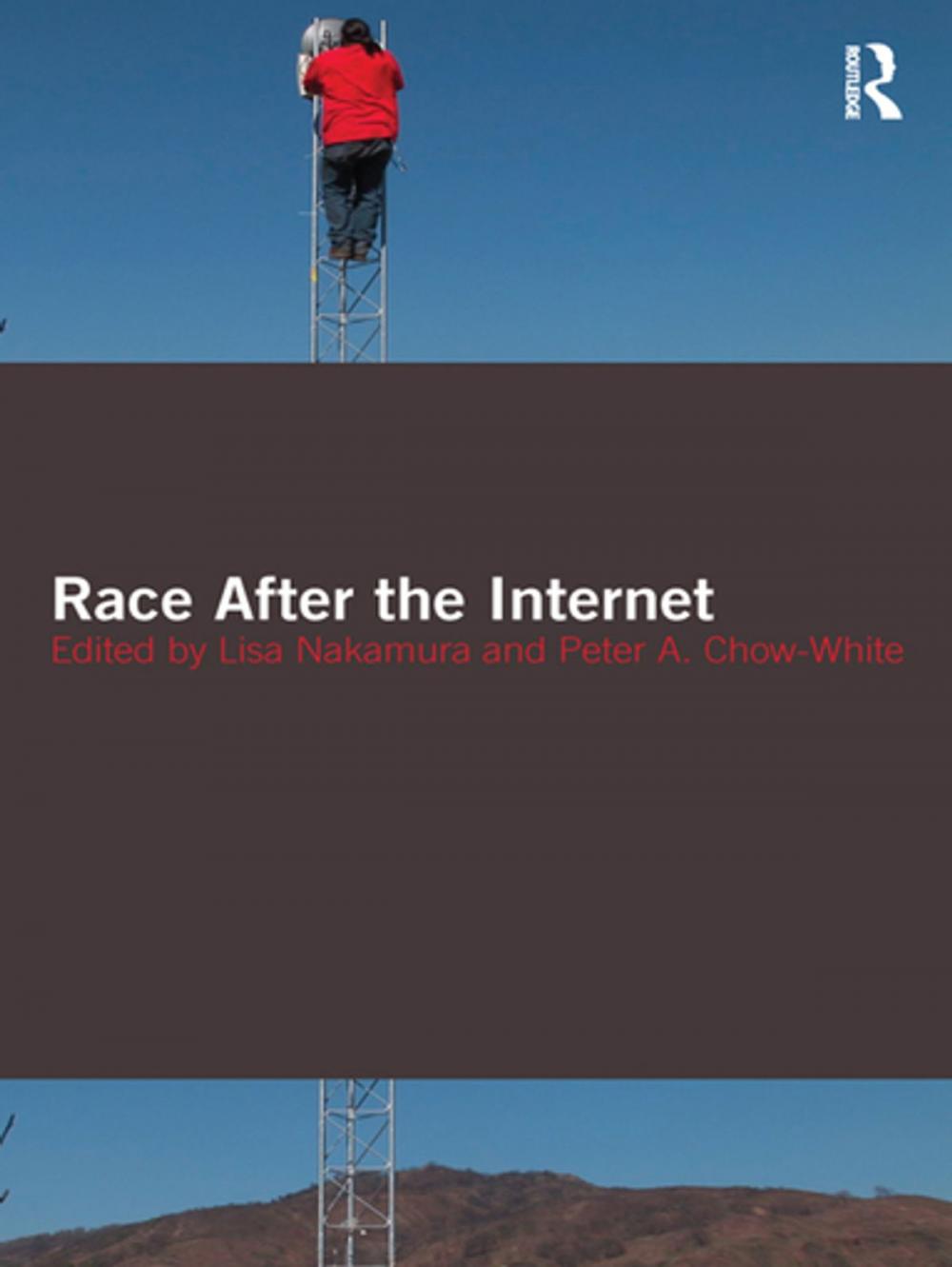 Big bigCover of Race After the Internet