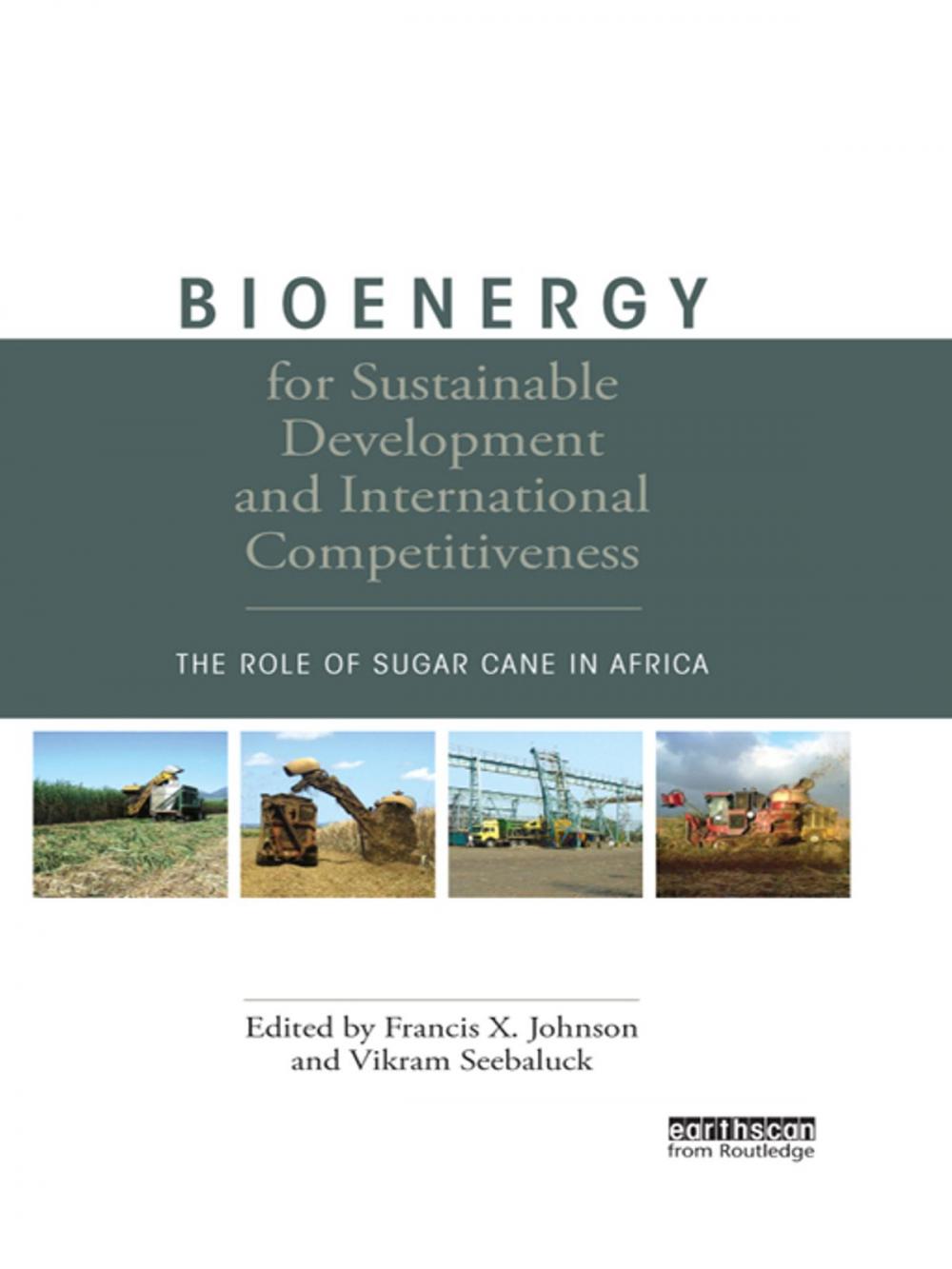 Big bigCover of Bioenergy for Sustainable Development and International Competitiveness