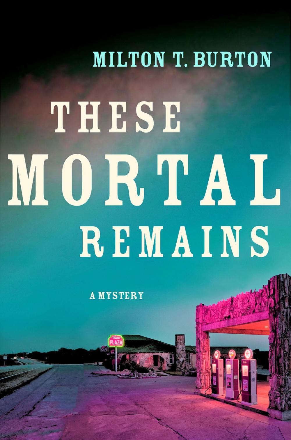 Big bigCover of These Mortal Remains