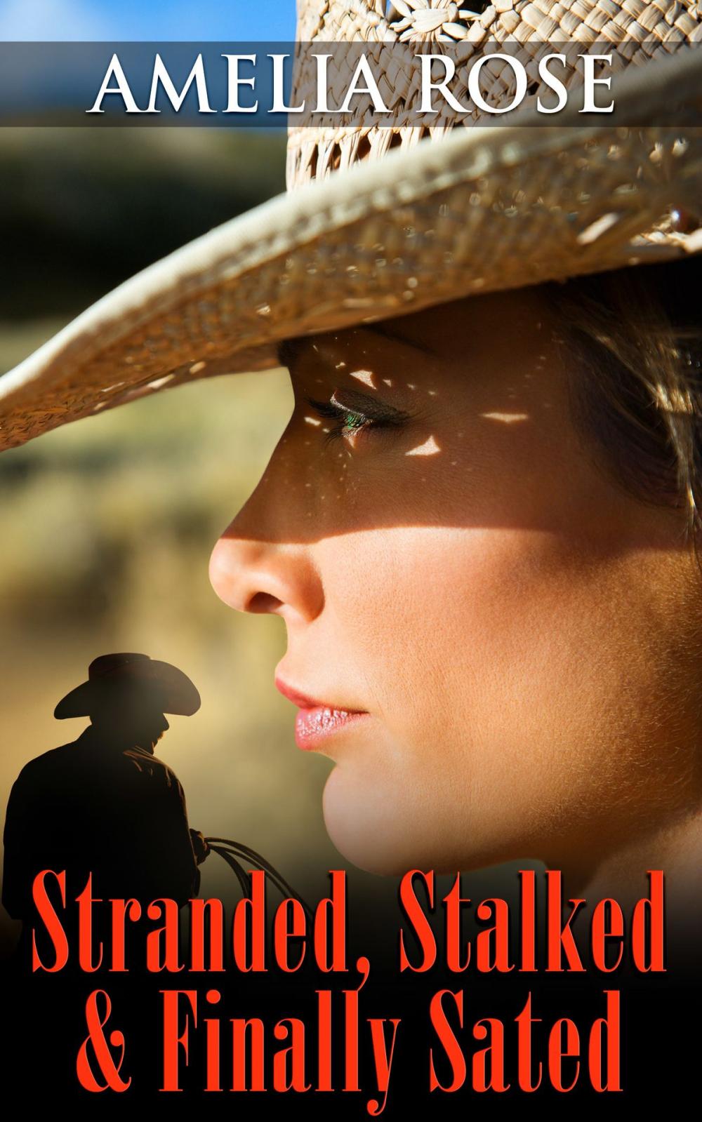 Big bigCover of Stranded, Stalked And Finally Sated