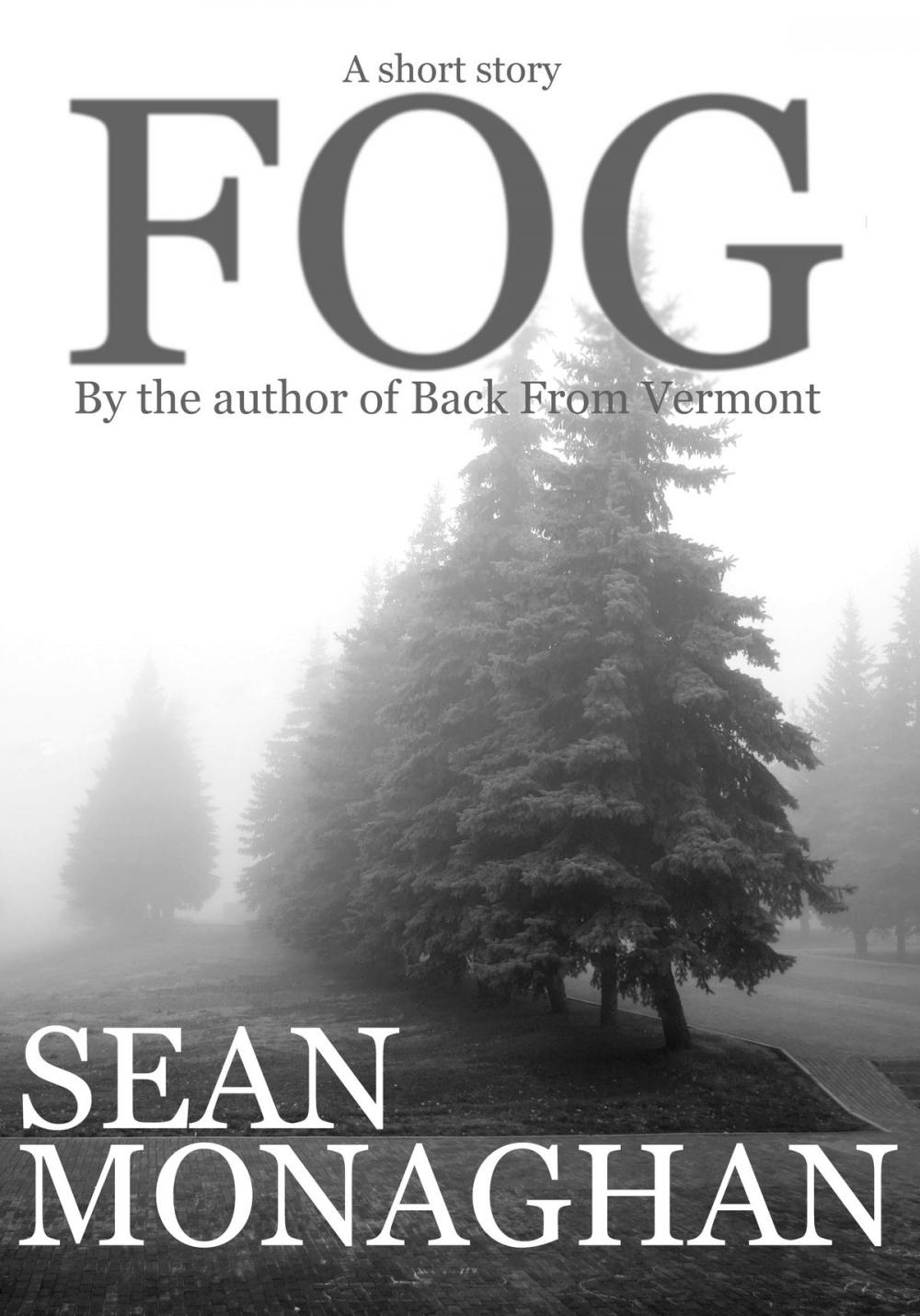 Big bigCover of Fog