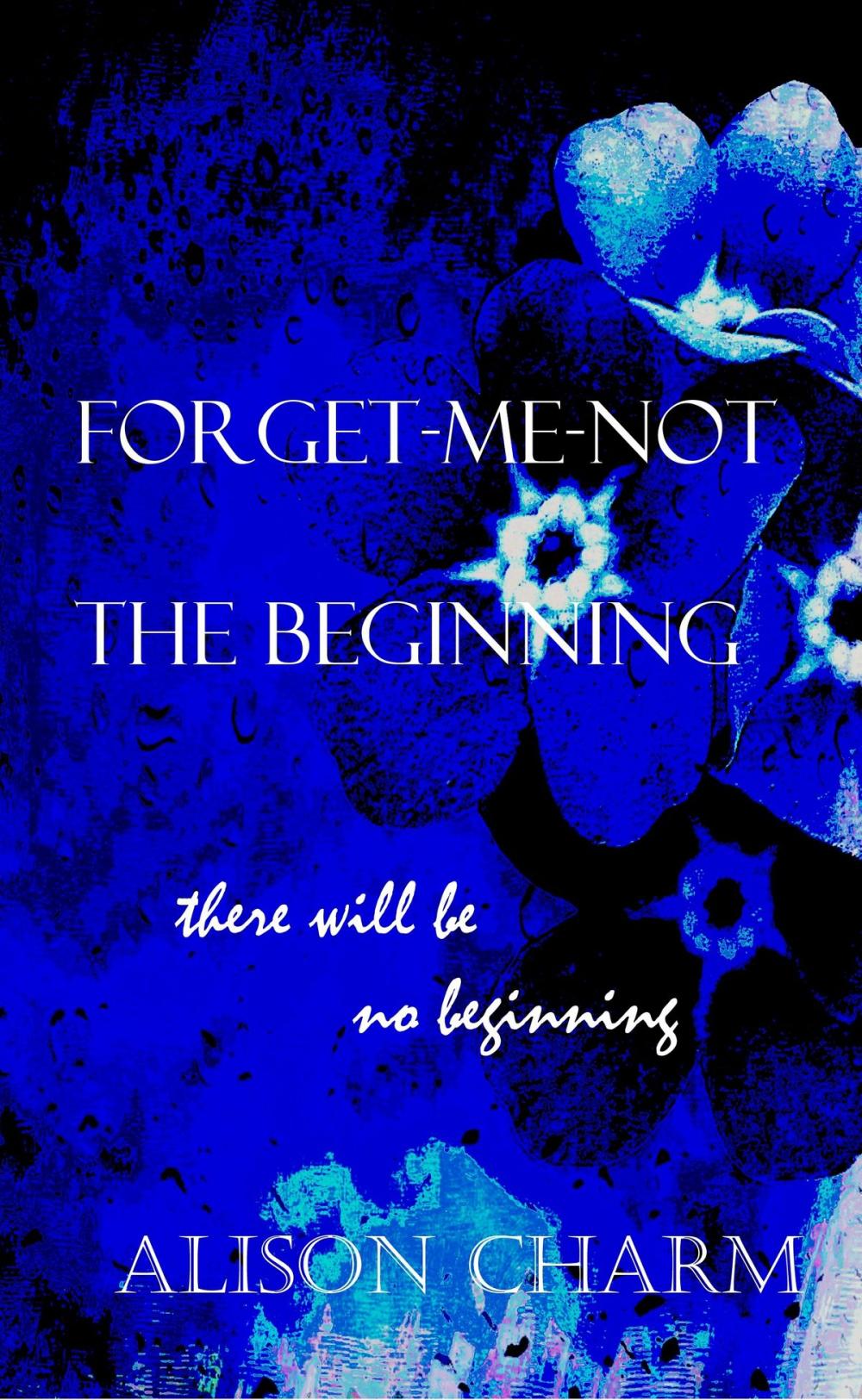 Big bigCover of The Beginning (Forget Me Not Series #1)