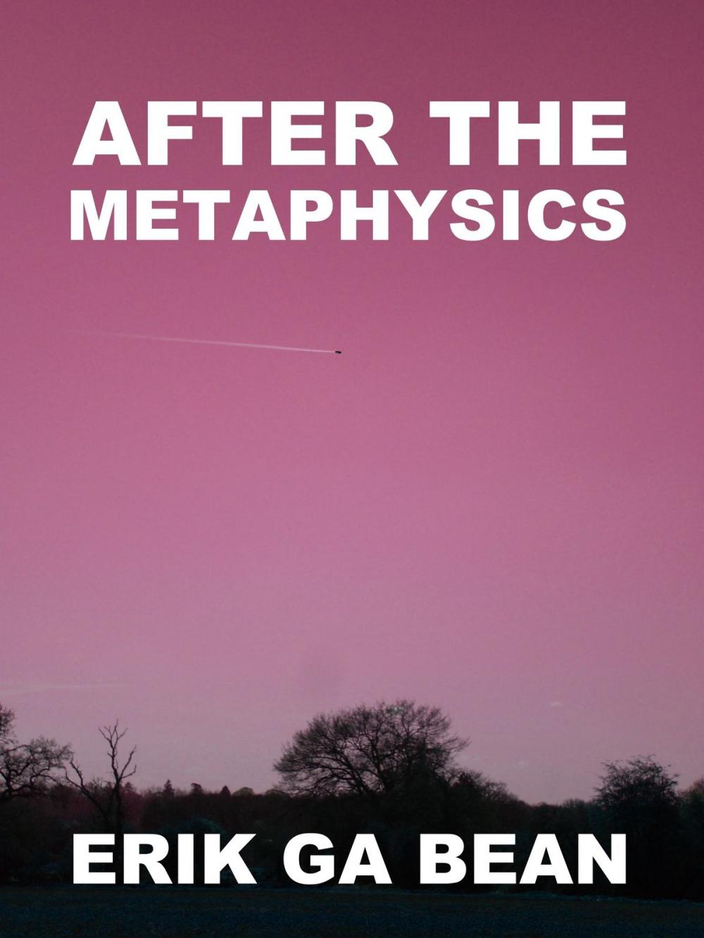 Big bigCover of After The Metaphysics