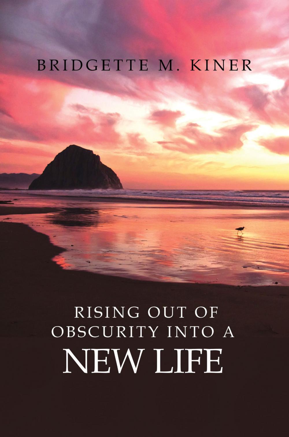 Big bigCover of Rising Out of Obscurity into a New Life