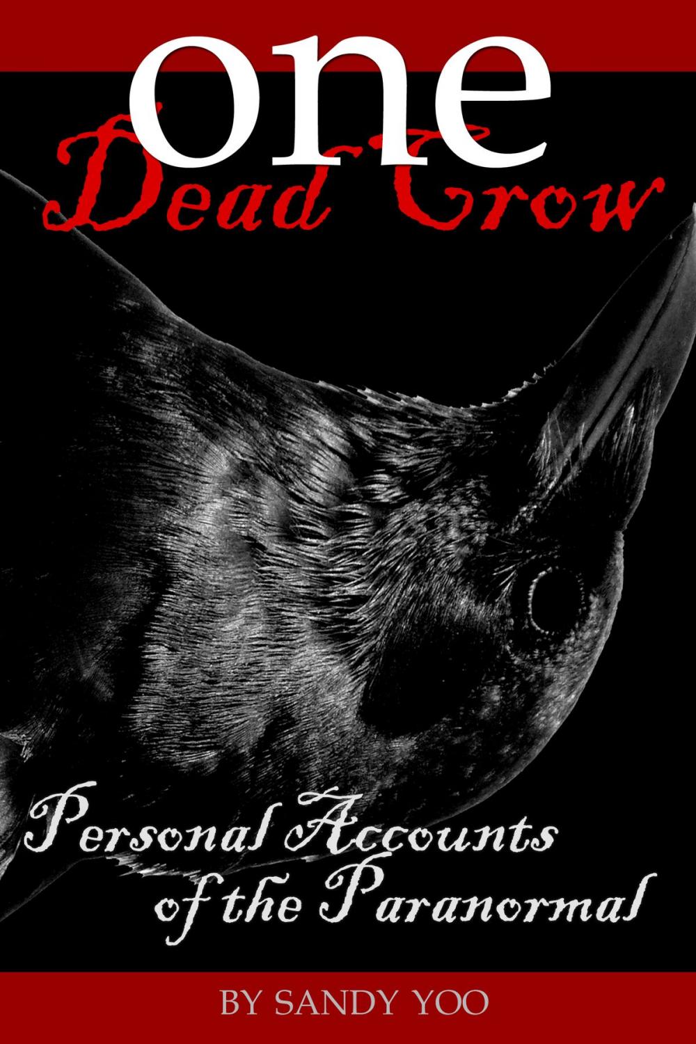 Big bigCover of One Dead Crow: Personal Accounts of the Paranormal