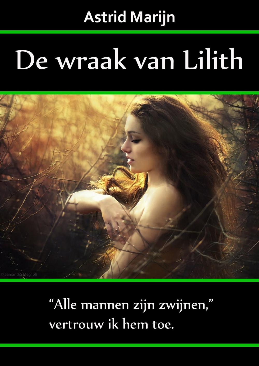 Big bigCover of De wraak van Lilith