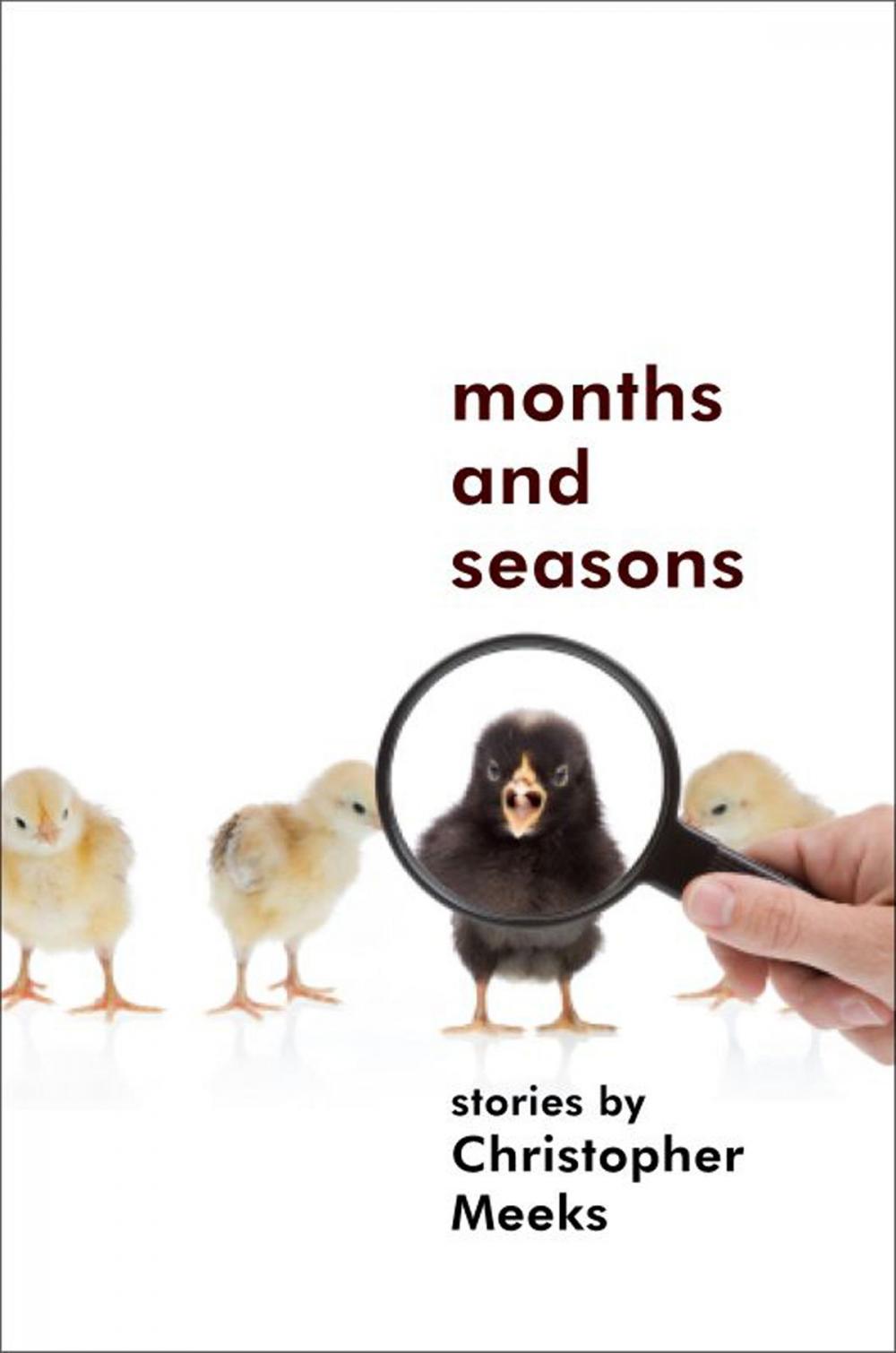 Big bigCover of Months and Seasons