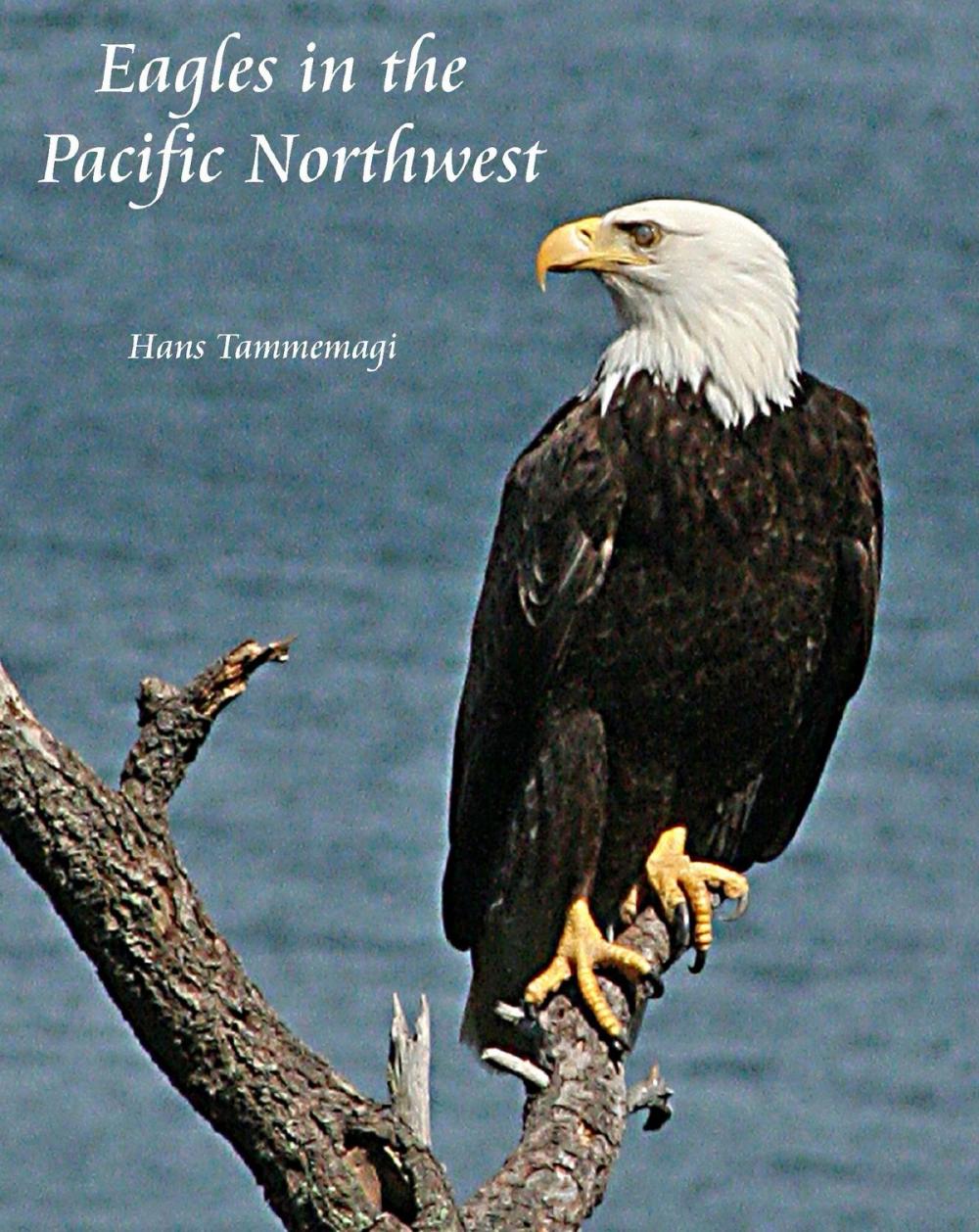 Big bigCover of Eagles in the Pacific Northwest