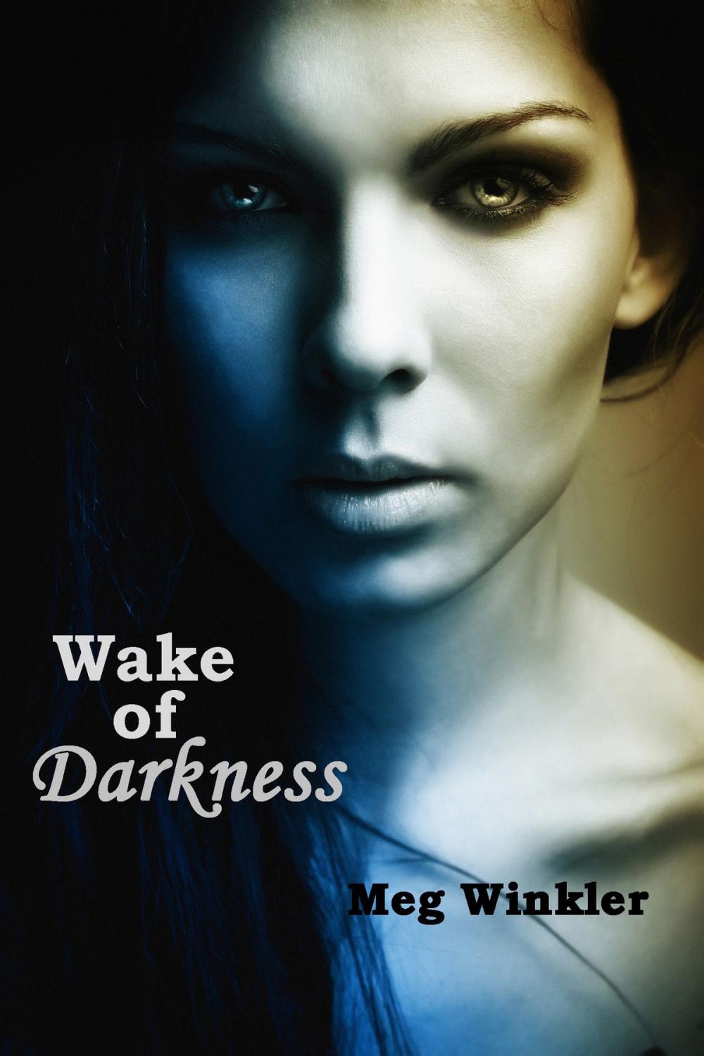 Big bigCover of Wake of Darkness