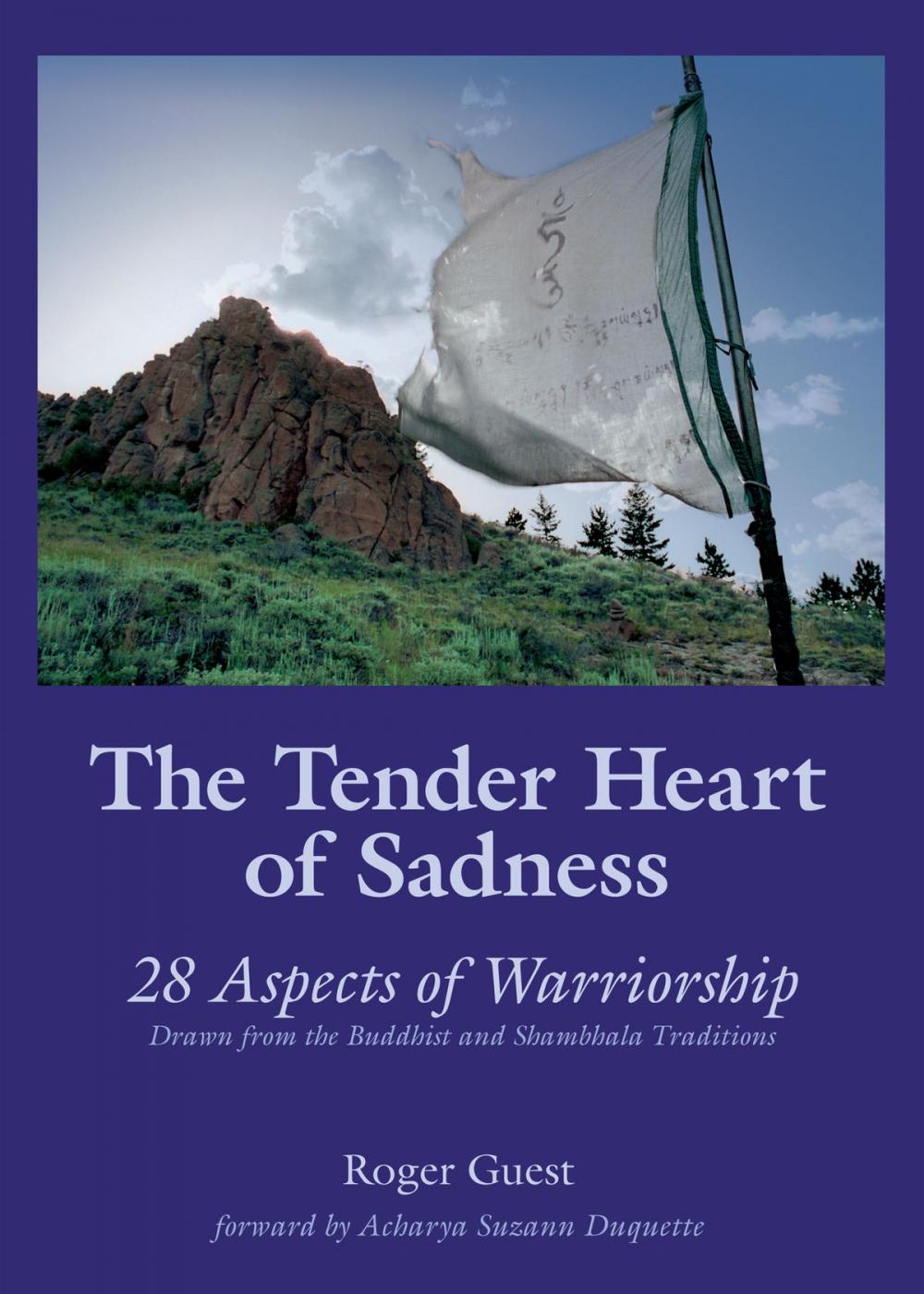 Big bigCover of The Tender Heart of Sadness: 28 Aspects of Warriorship Drawn from the Buddhist and Shambhala Traditions