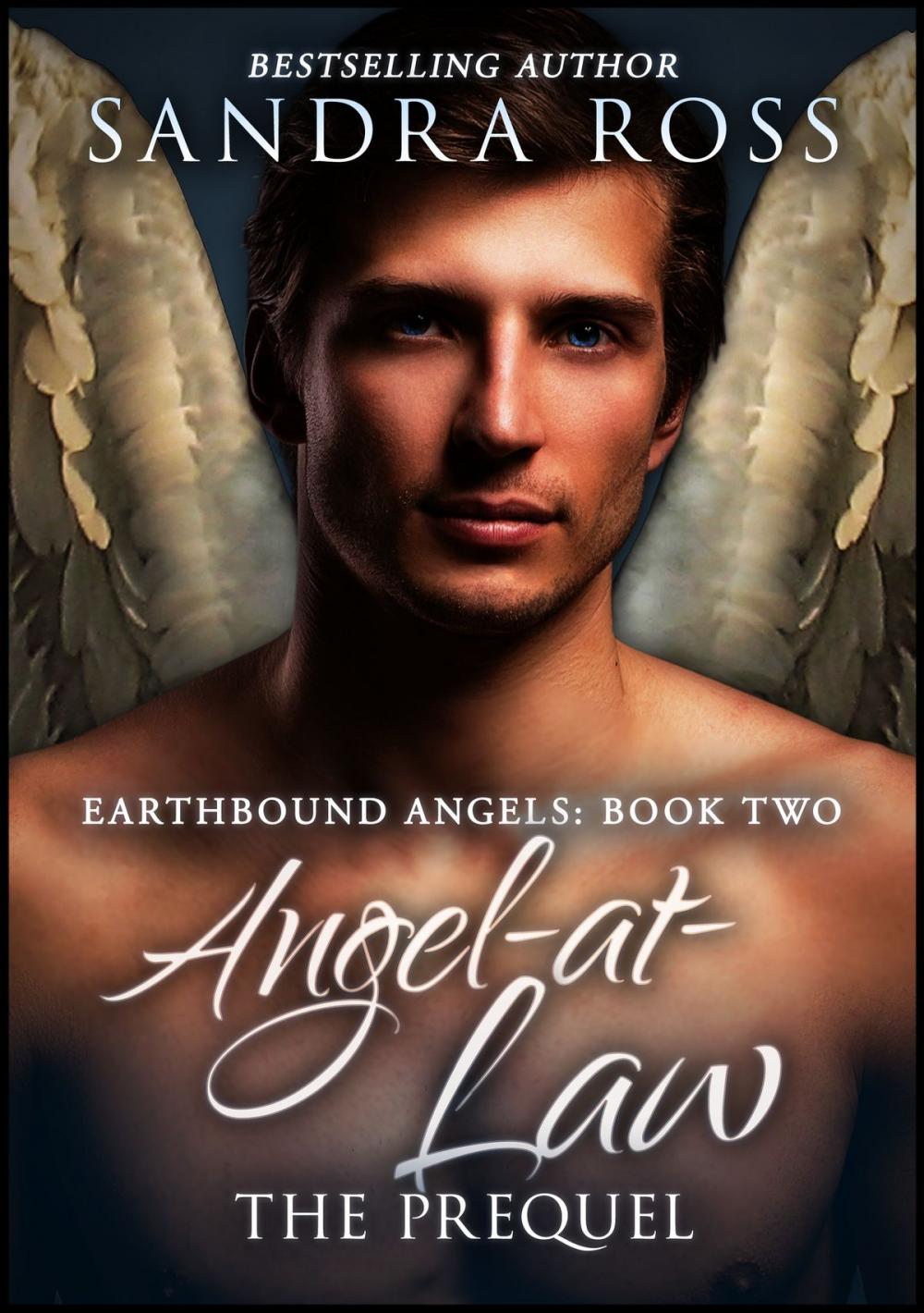 Big bigCover of Angel-at-Law: The Prequel (Earthbound Angels Book 2)