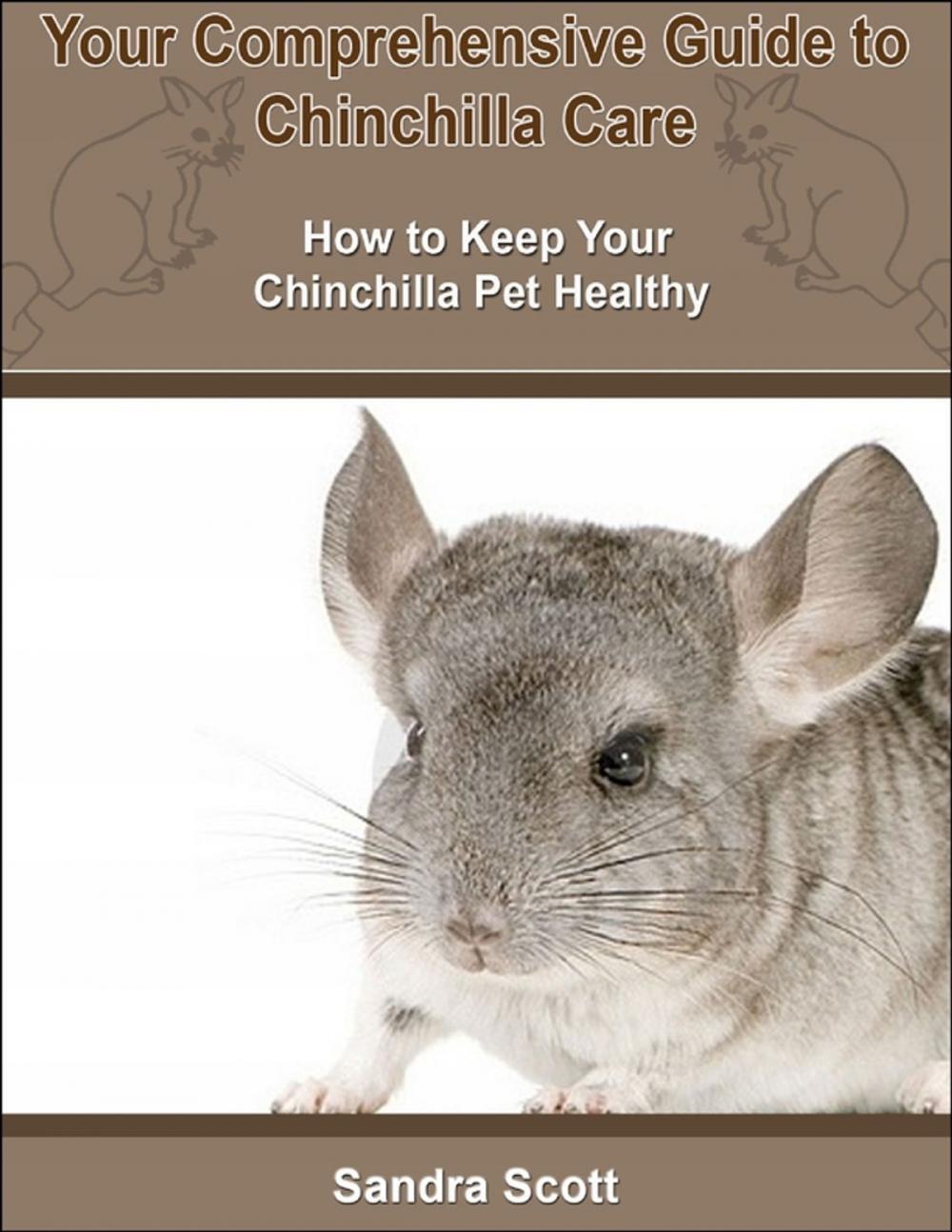 Big bigCover of Your Comprehensive Guide to Chinchilla Care: How to Keep Your Chinchilla Pet Healthy