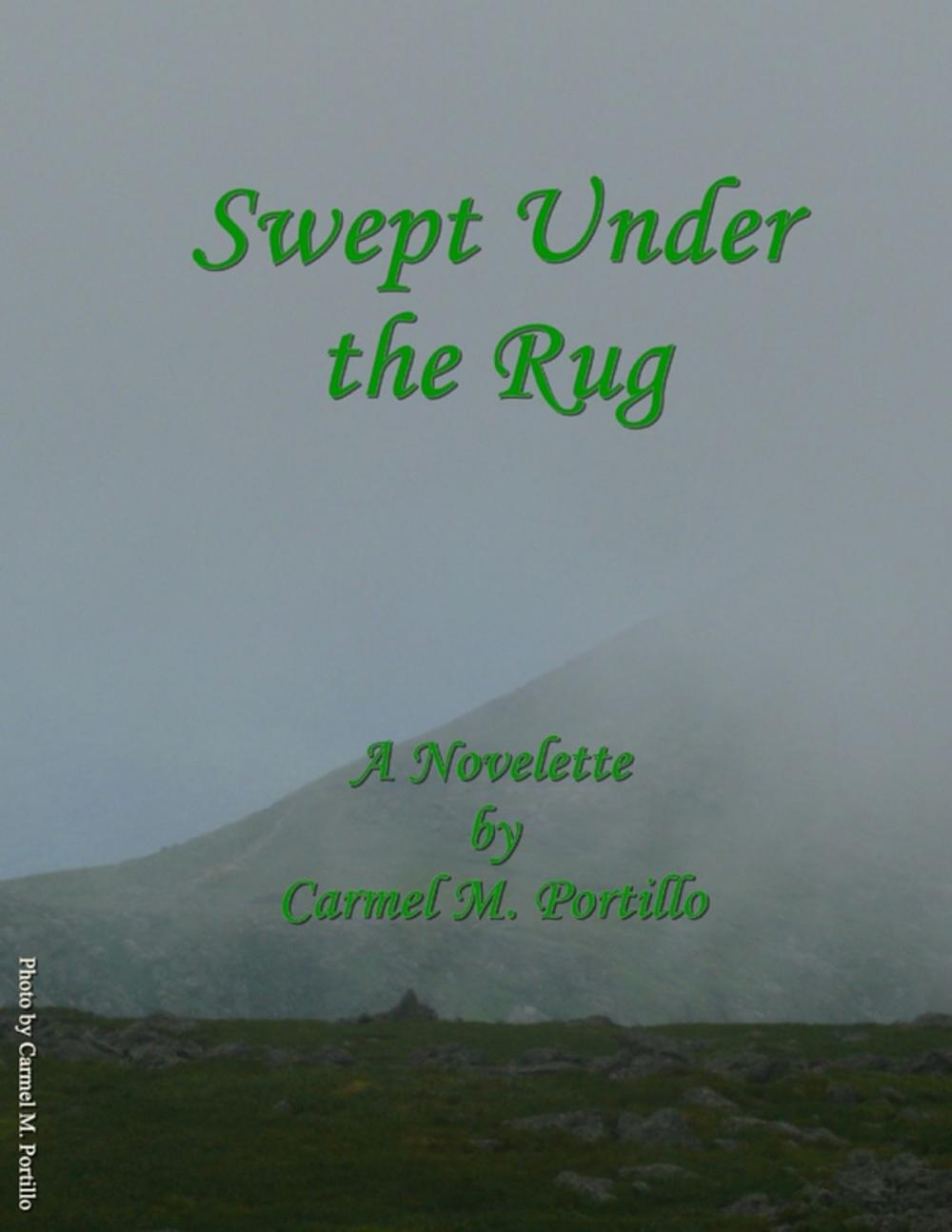 Big bigCover of Swept Under the Rug