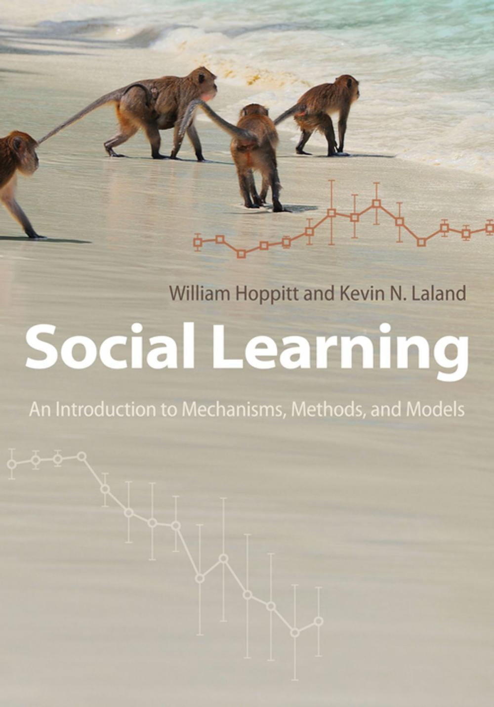 Big bigCover of Social Learning