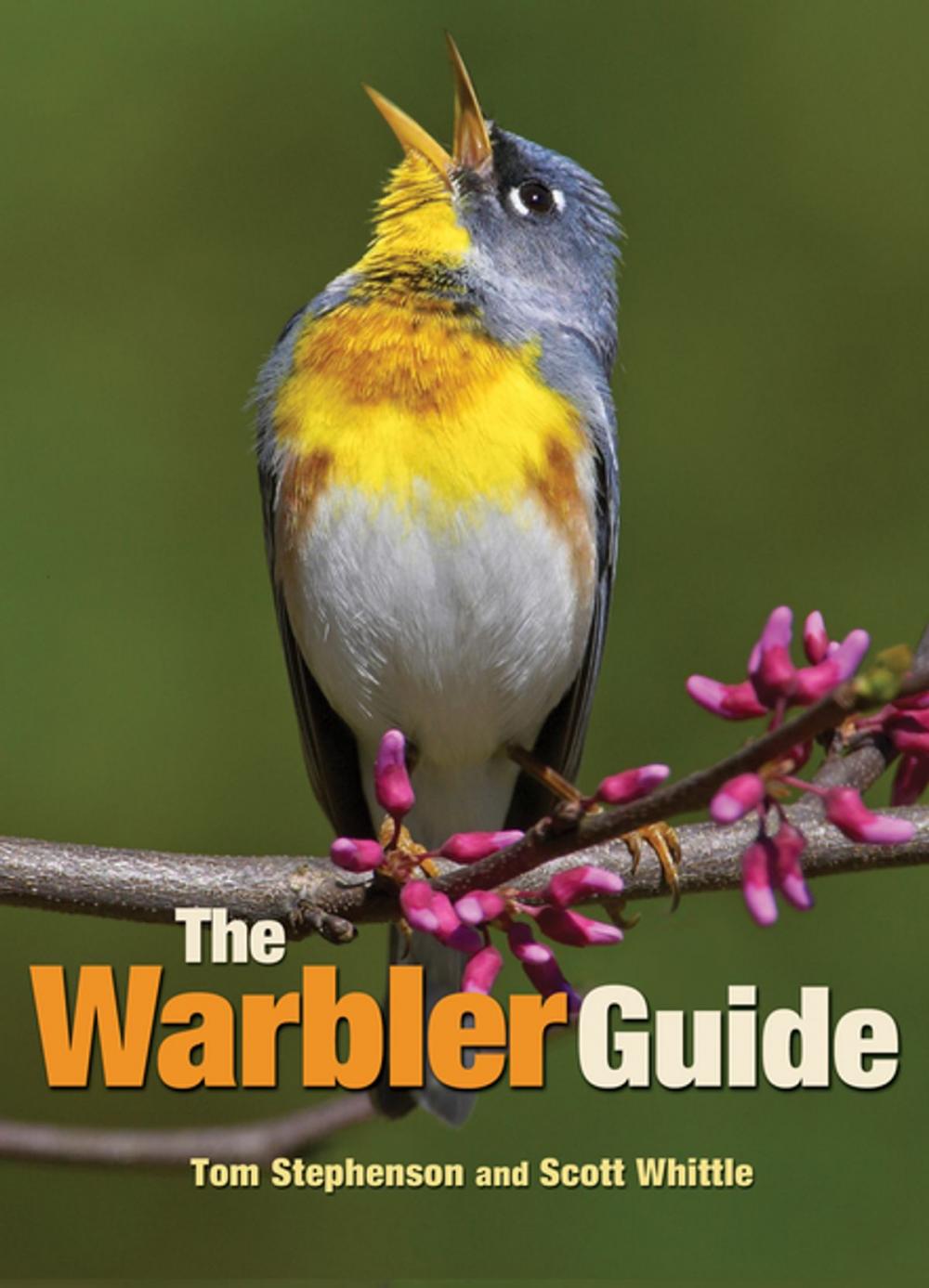 Big bigCover of The Warbler Guide