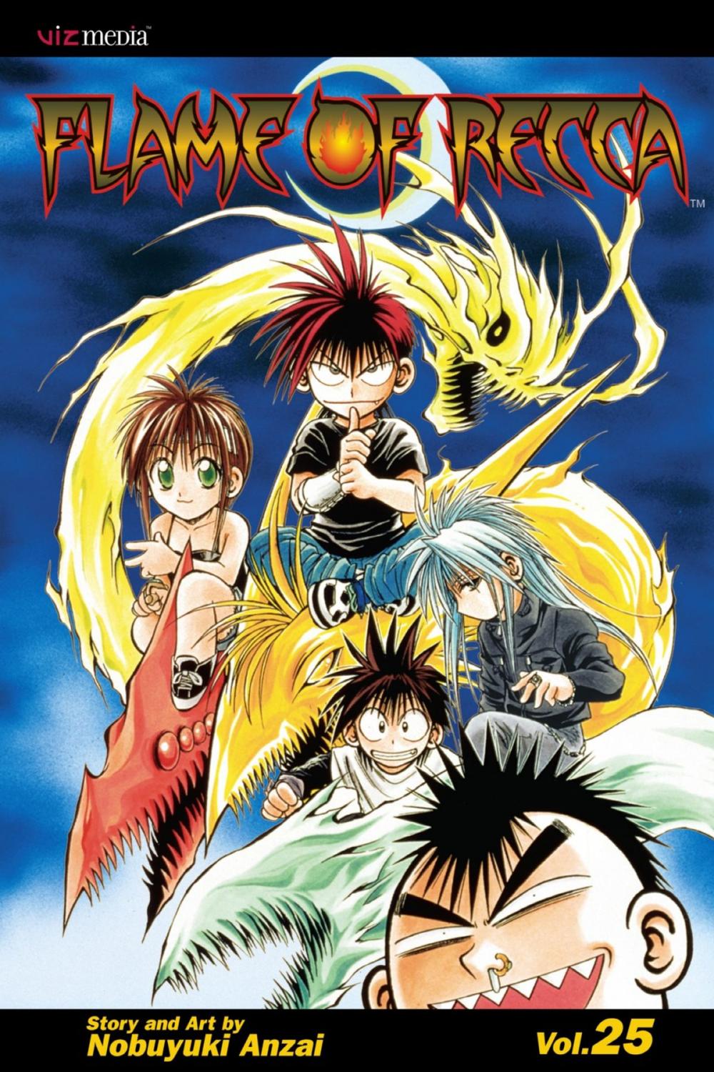 Big bigCover of Flame of Recca, Vol. 25