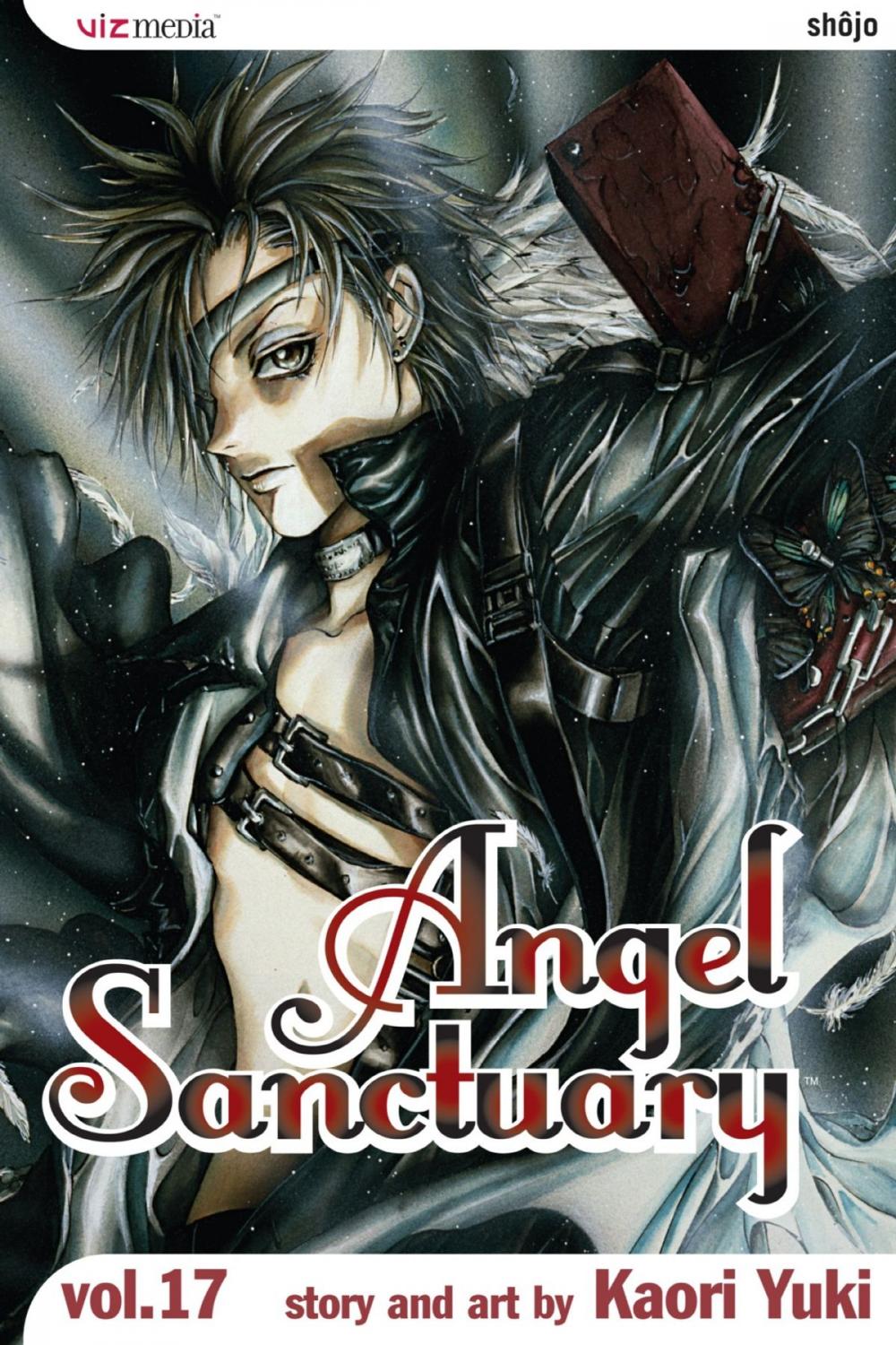 Big bigCover of Angel Sanctuary, Vol. 17