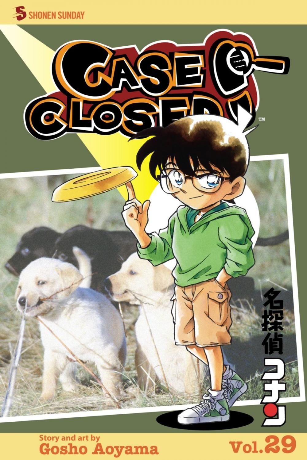 Big bigCover of Case Closed, Vol. 29