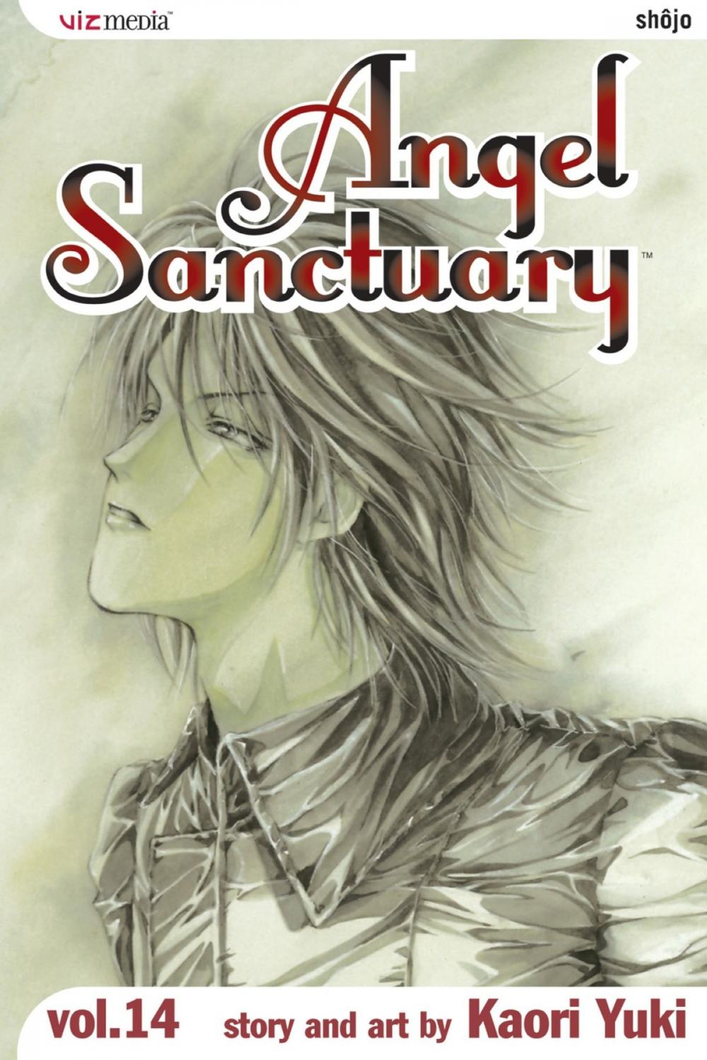 Big bigCover of Angel Sanctuary, Vol. 14