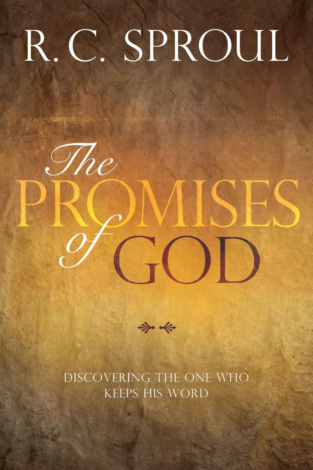 Big bigCover of The Promises of God