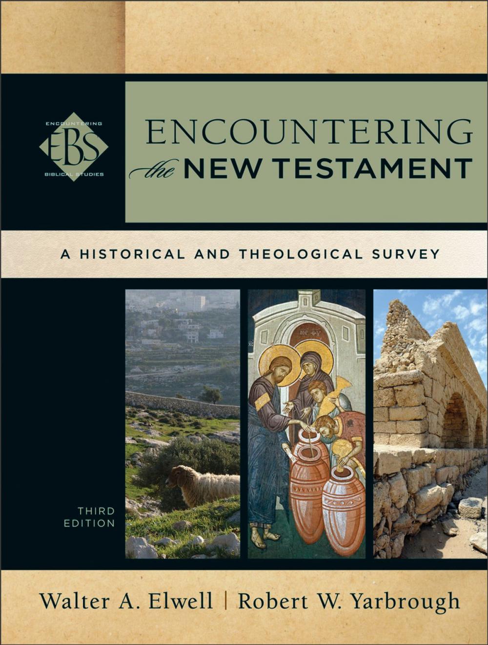 Big bigCover of Encountering the New Testament (Encountering Biblical Studies)