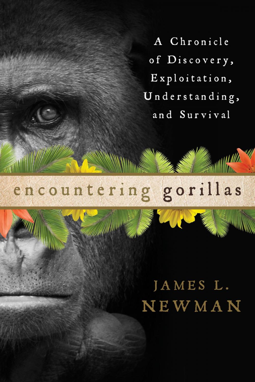 Big bigCover of Encountering Gorillas