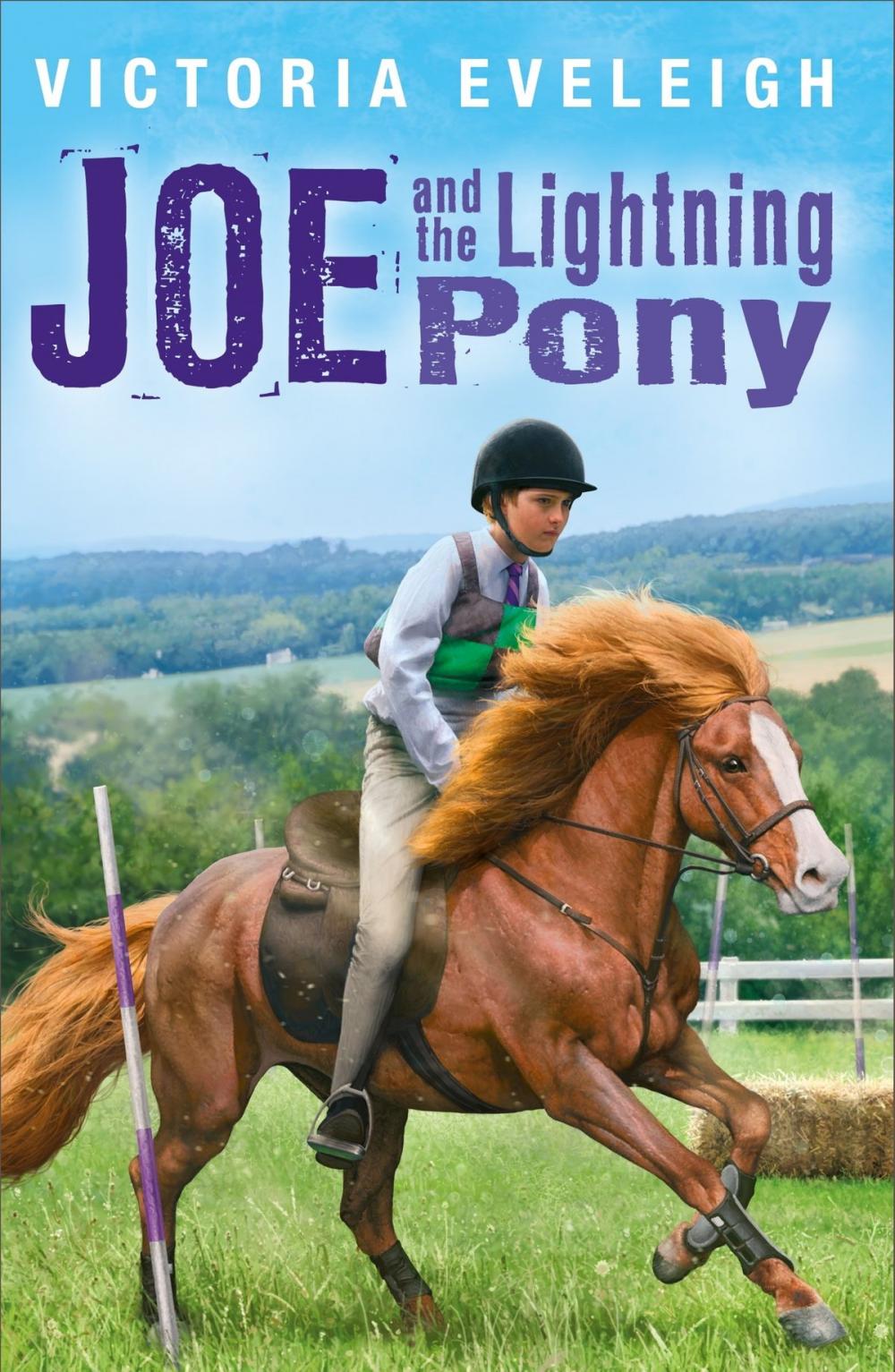 Big bigCover of The Horseshoe Trilogy: Joe and the Lightning Pony