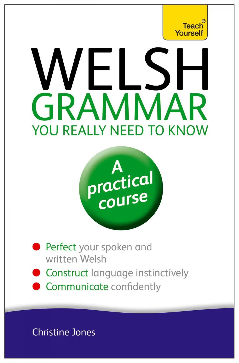 Big bigCover of Welsh Grammar You Really Need to Know: Teach Yourself