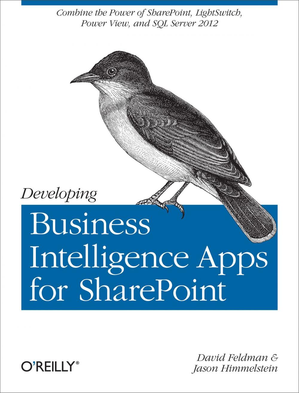 Big bigCover of Developing Business Intelligence Apps for SharePoint