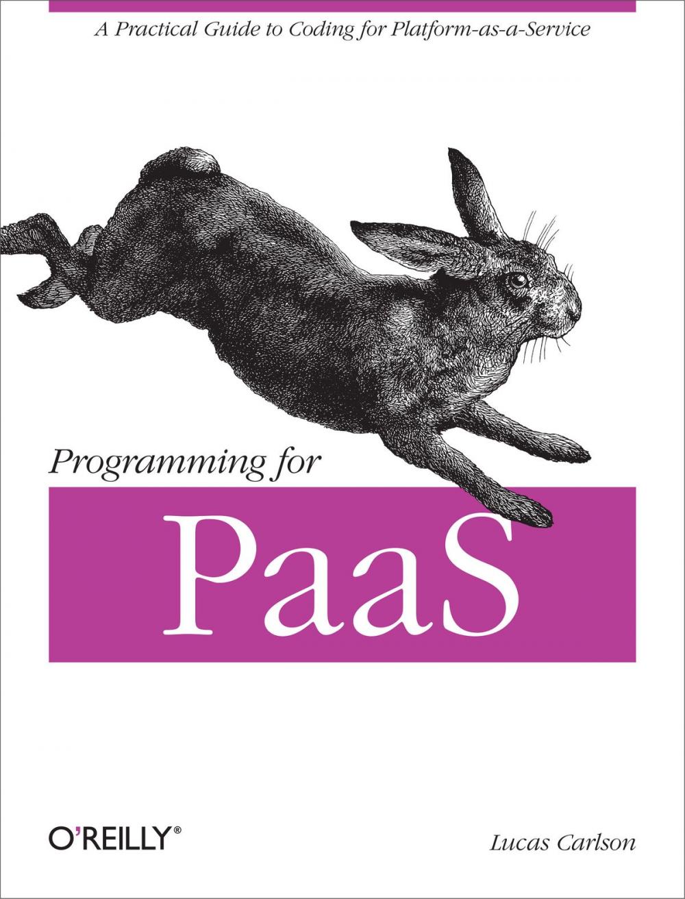 Big bigCover of Programming for PaaS