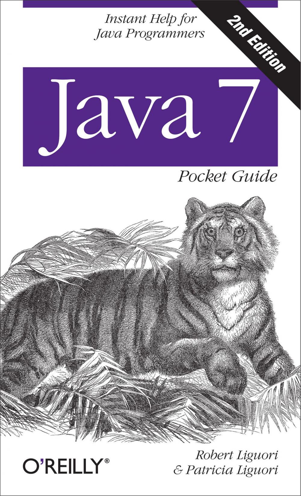 Big bigCover of Java 7 Pocket Guide