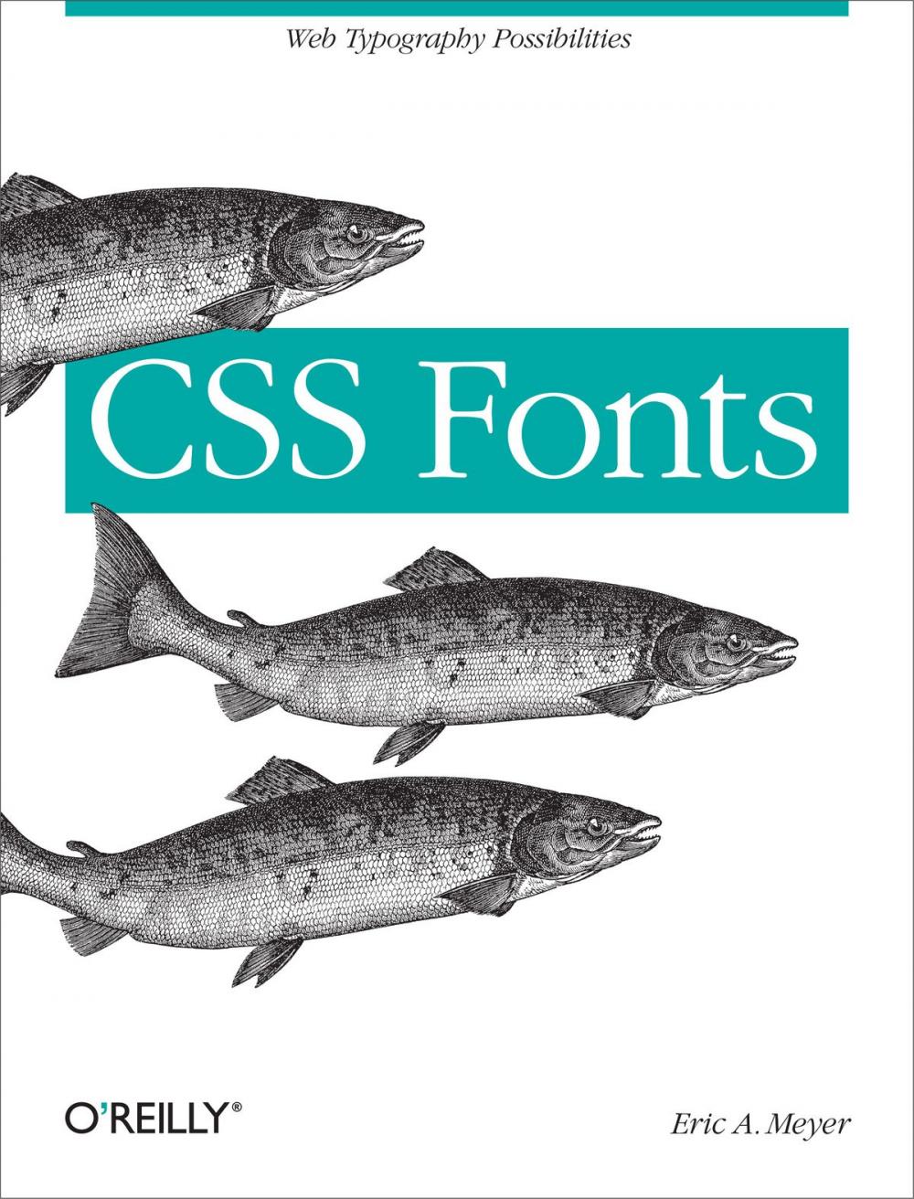 Big bigCover of CSS Fonts