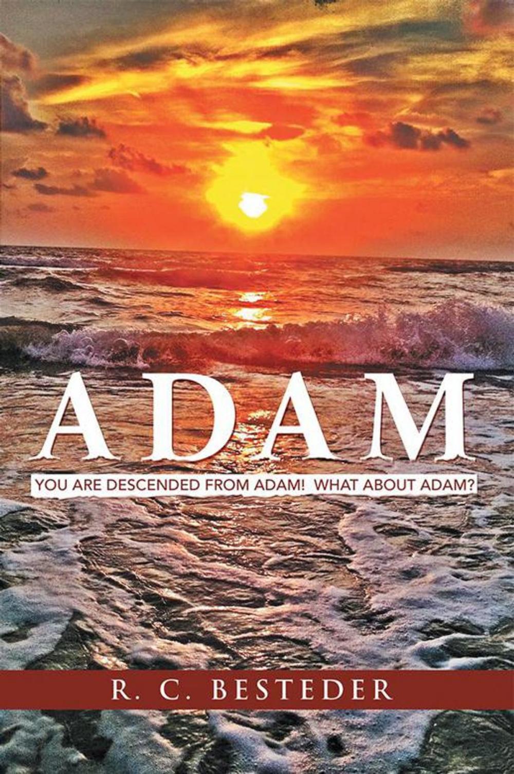 Big bigCover of Adam