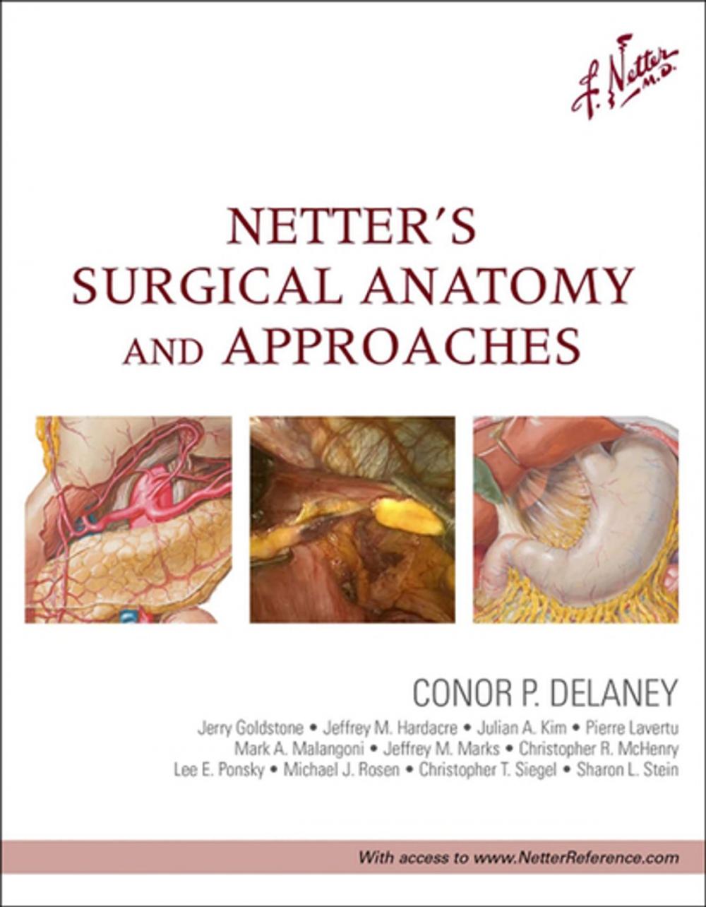 Big bigCover of Netter's Surgical Anatomy and Approaches E-Book