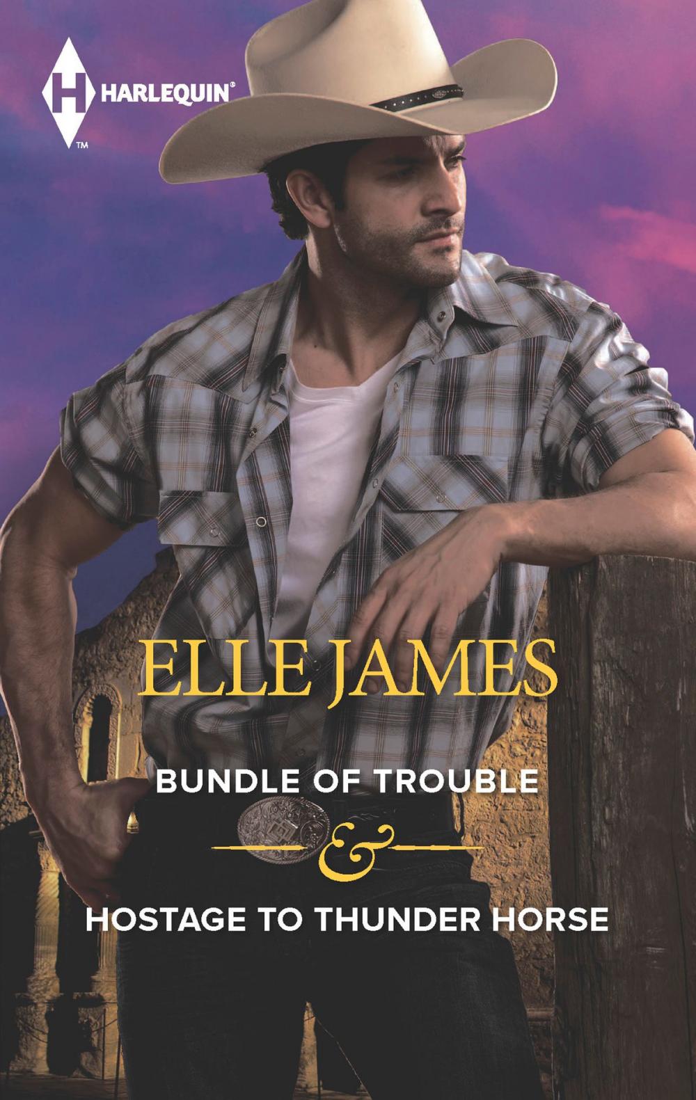 Big bigCover of Bundle of Trouble & Hostage to Thunder Horse