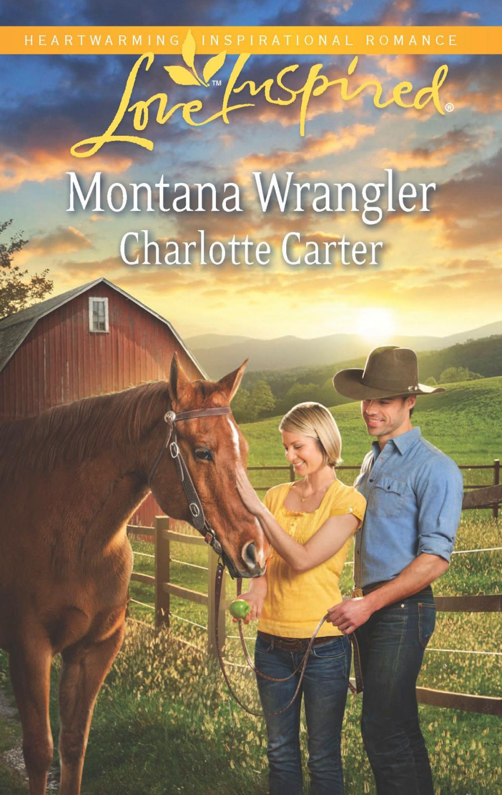 Big bigCover of Montana Wrangler