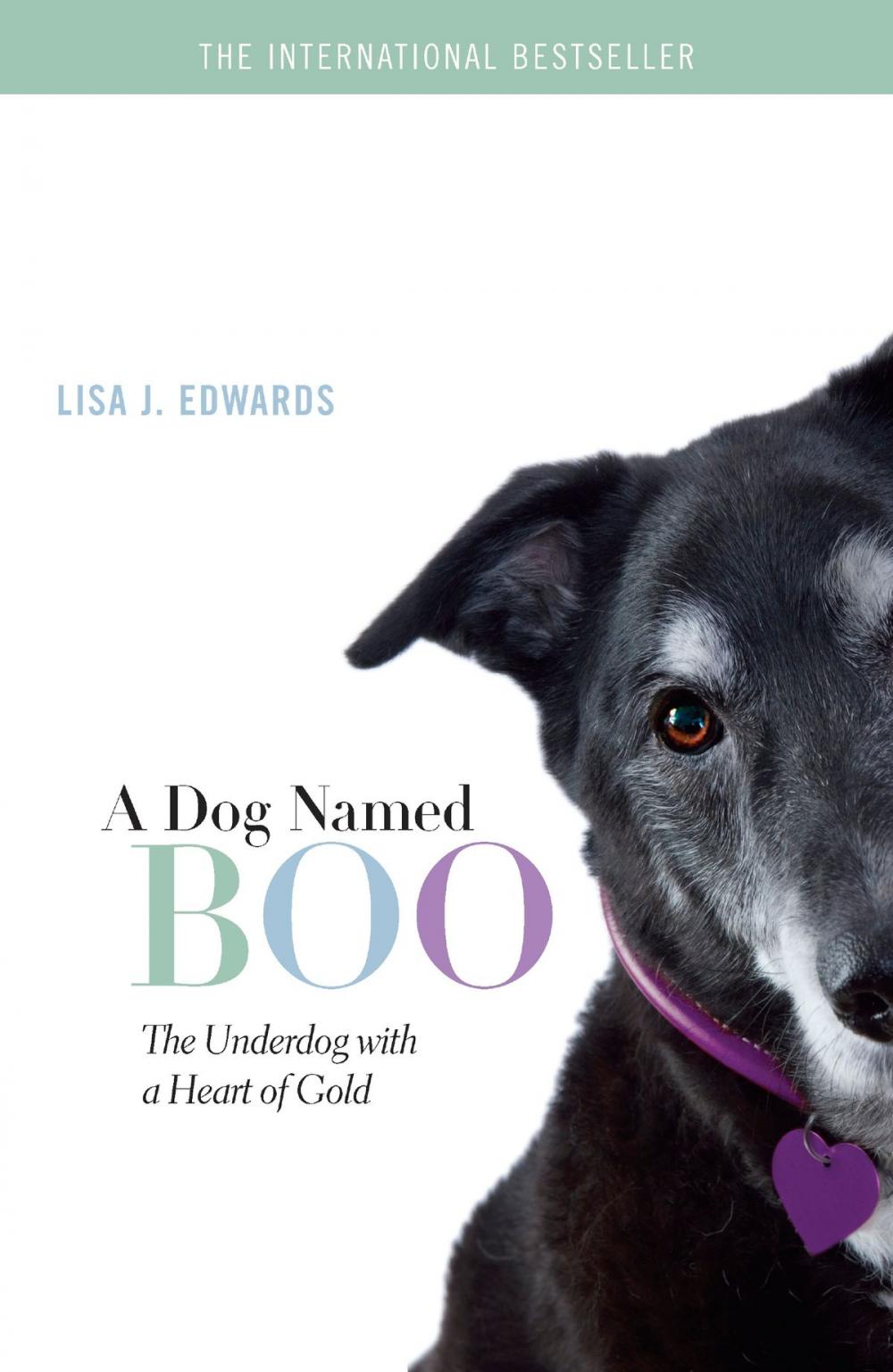 Big bigCover of A Dog Named Boo