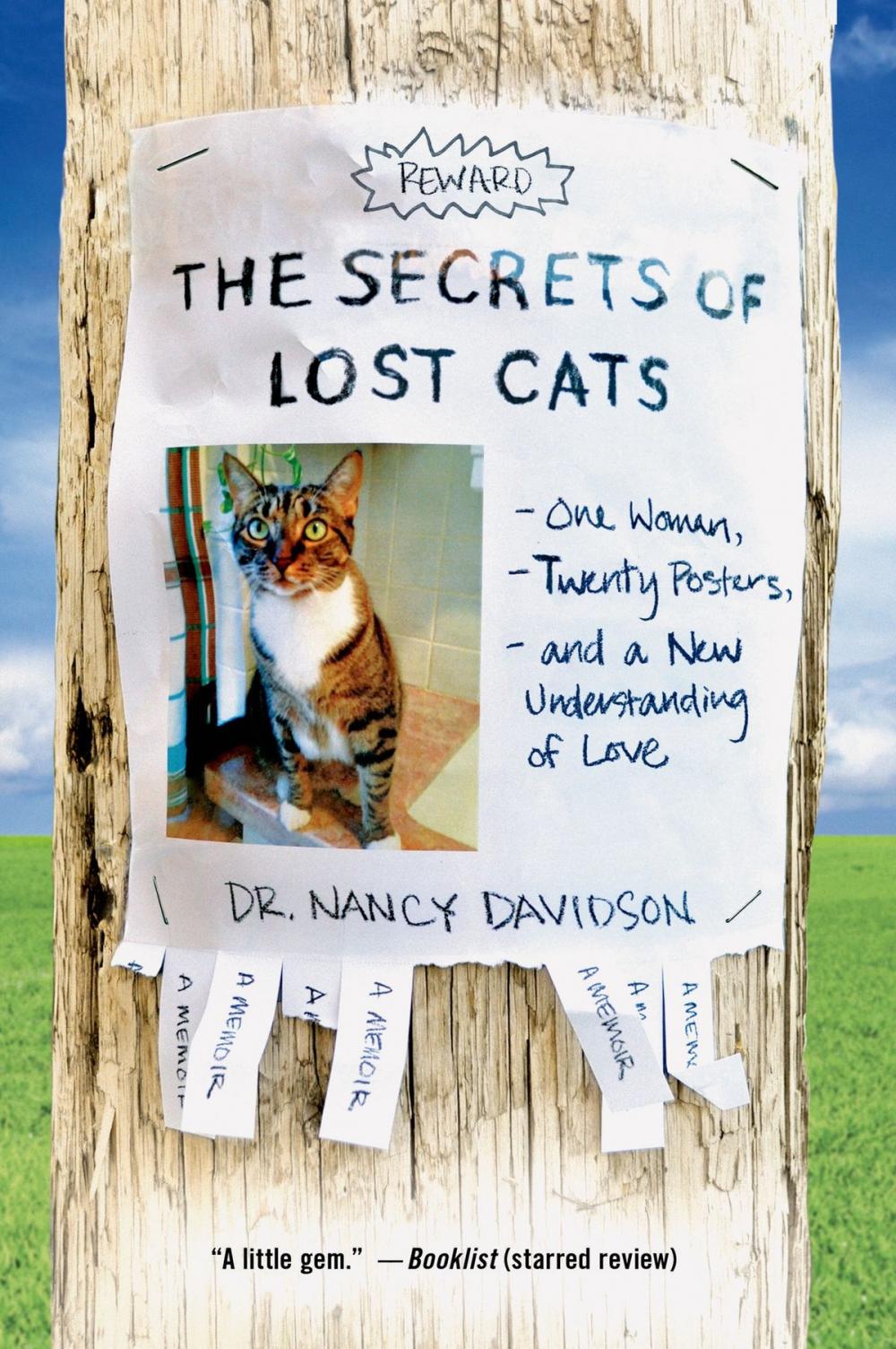 Big bigCover of The Secrets of Lost Cats