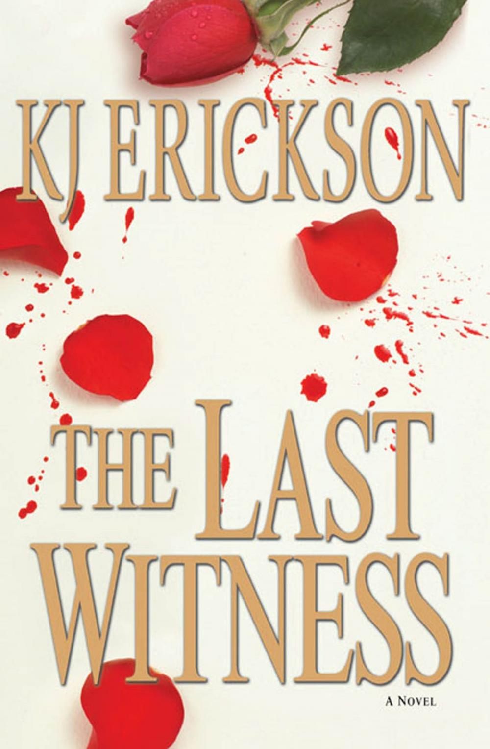 Big bigCover of The Last Witness